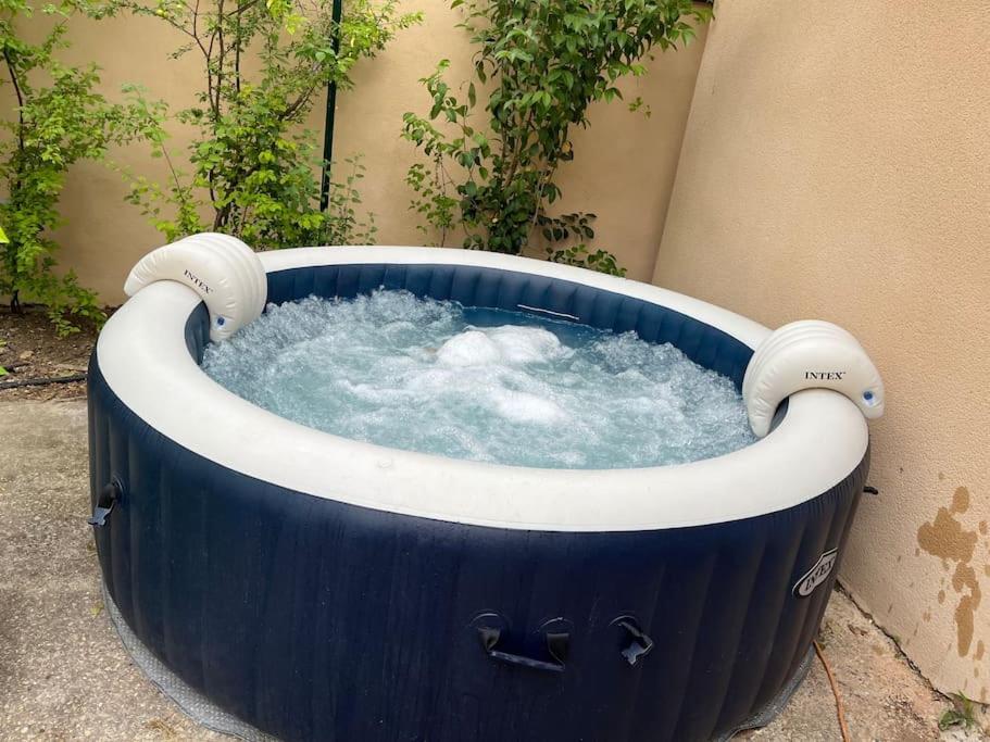 Climatise Avec Piscine Et Jacuzzi *