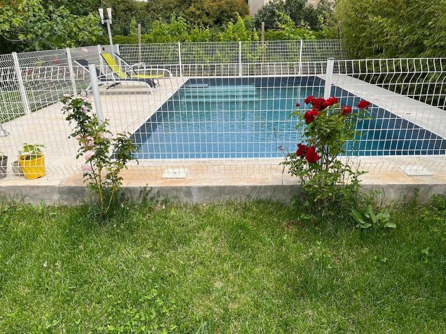 Climatise Avec Piscine Et Jacuzzi