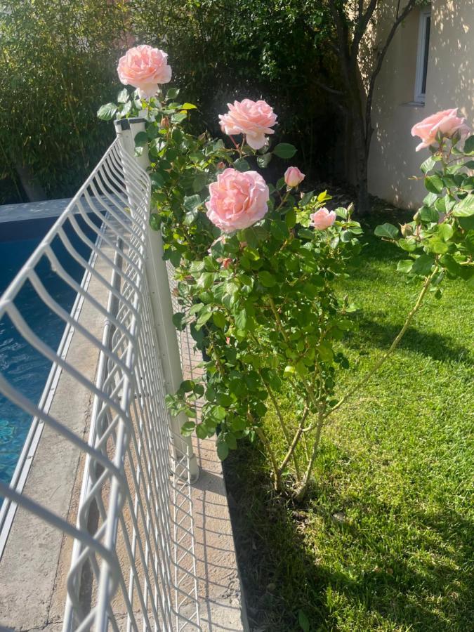 Climatise Avec Piscine Et Jacuzzi Carpentras