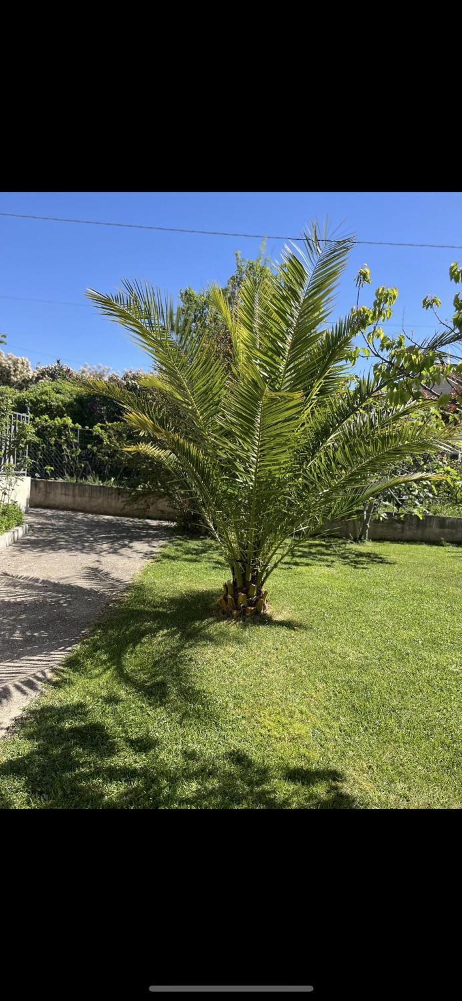 Holiday home Climatise Avec Piscine Et Jacuzzi *